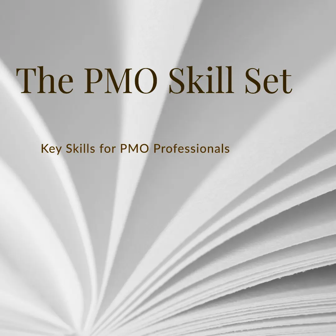 You are currently viewing The PMO Skill Set: Key Skills for PMO Professionals